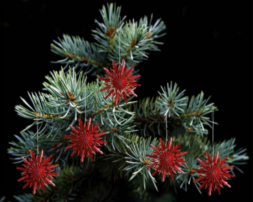 Casalanas Christbaumschmuck, rote Schneeflocke, 10x10 cm, rot-weiß, Art.-Nr. 3337